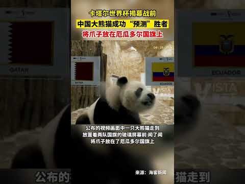 光明网,光明日报,揭秘南方冰,九游会官网,九游会J9,九游会娱乐,九游会互动,九游会中心